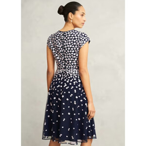 Hobbs Betty Embroidered Dress